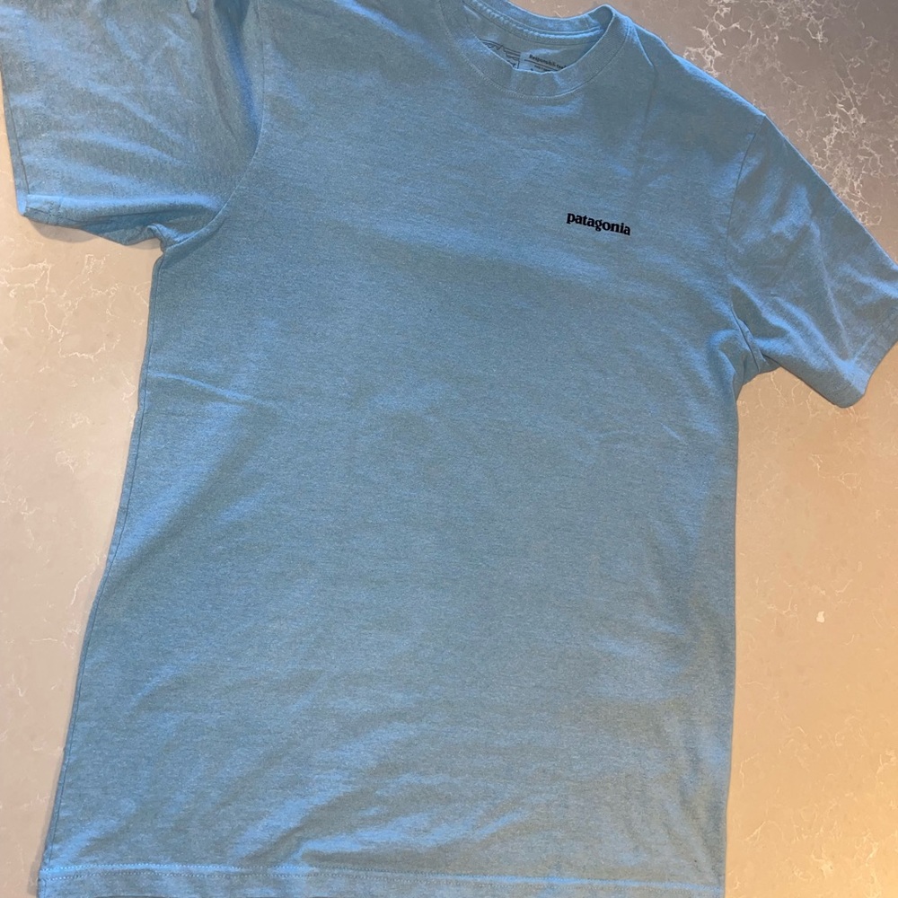 Light blue Patagonia t shirt